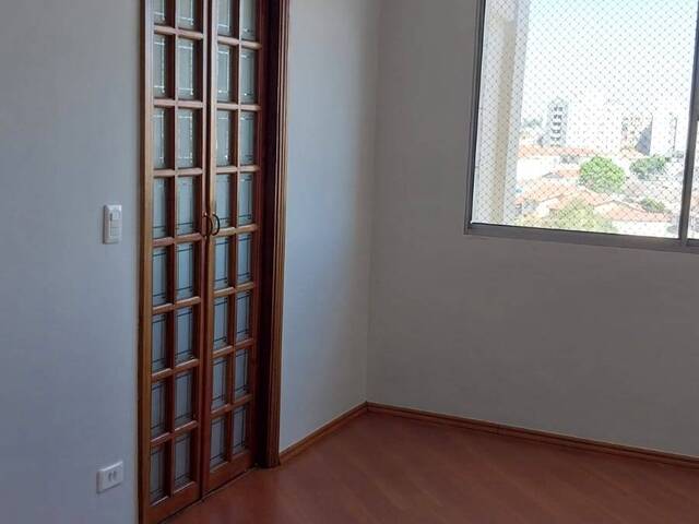 Comprar em Vila Mascote - São Paulo